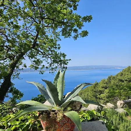 Mala Kuca Divna Brela