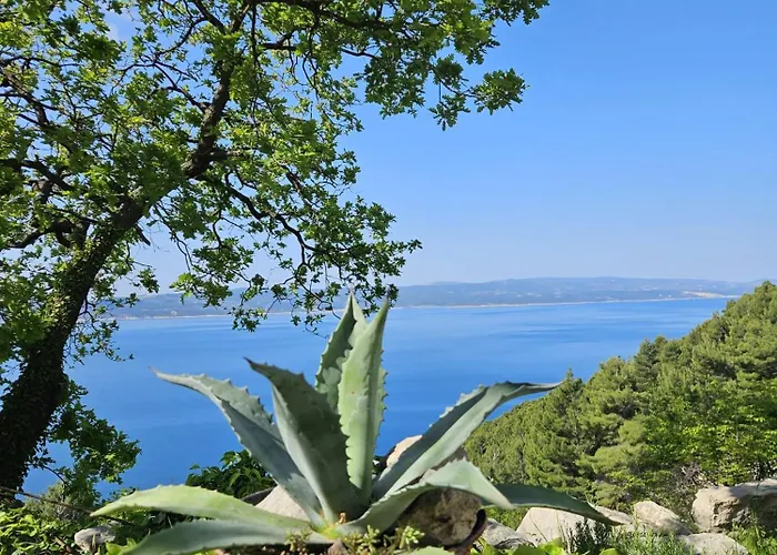 Mala Kuca Divna Brela